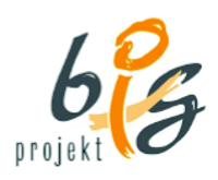 BIG-Logo